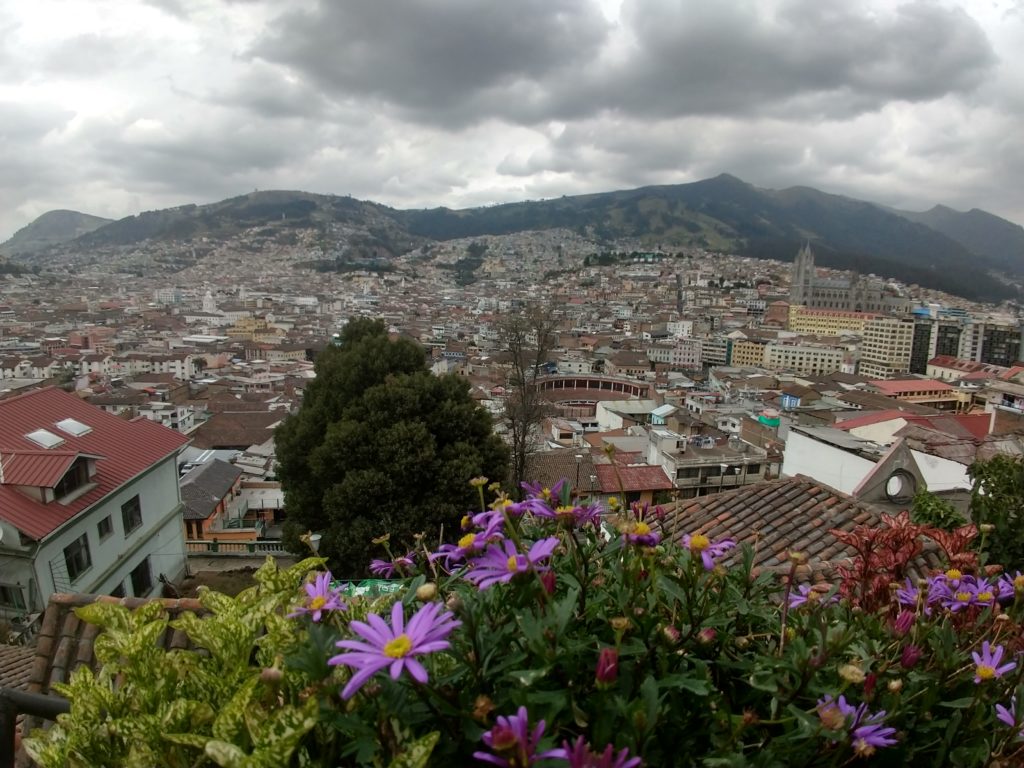 Ecuador back to normal