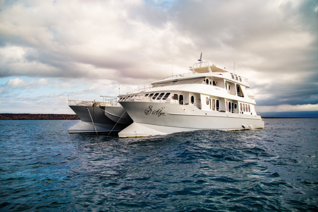 Alya Luxury Catamaran